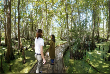 Cardboard Camera — See depth